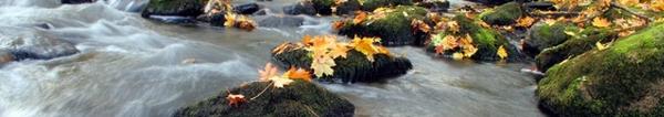 autumn01
