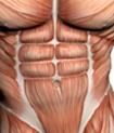 core