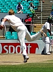 cricket2